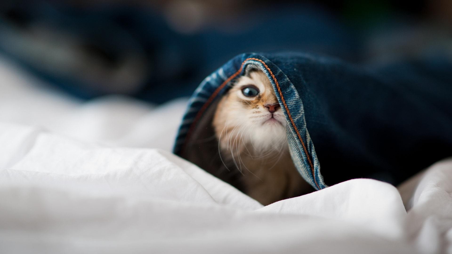 世界杯预选赛中国足球爆冷 球迷态度变得复杂，足球世界杯预选赛中国队比赛时间