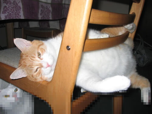 世界杯预选赛中国足球爆冷 球迷态度变得复杂,足球世界杯预选赛中国队比赛时间