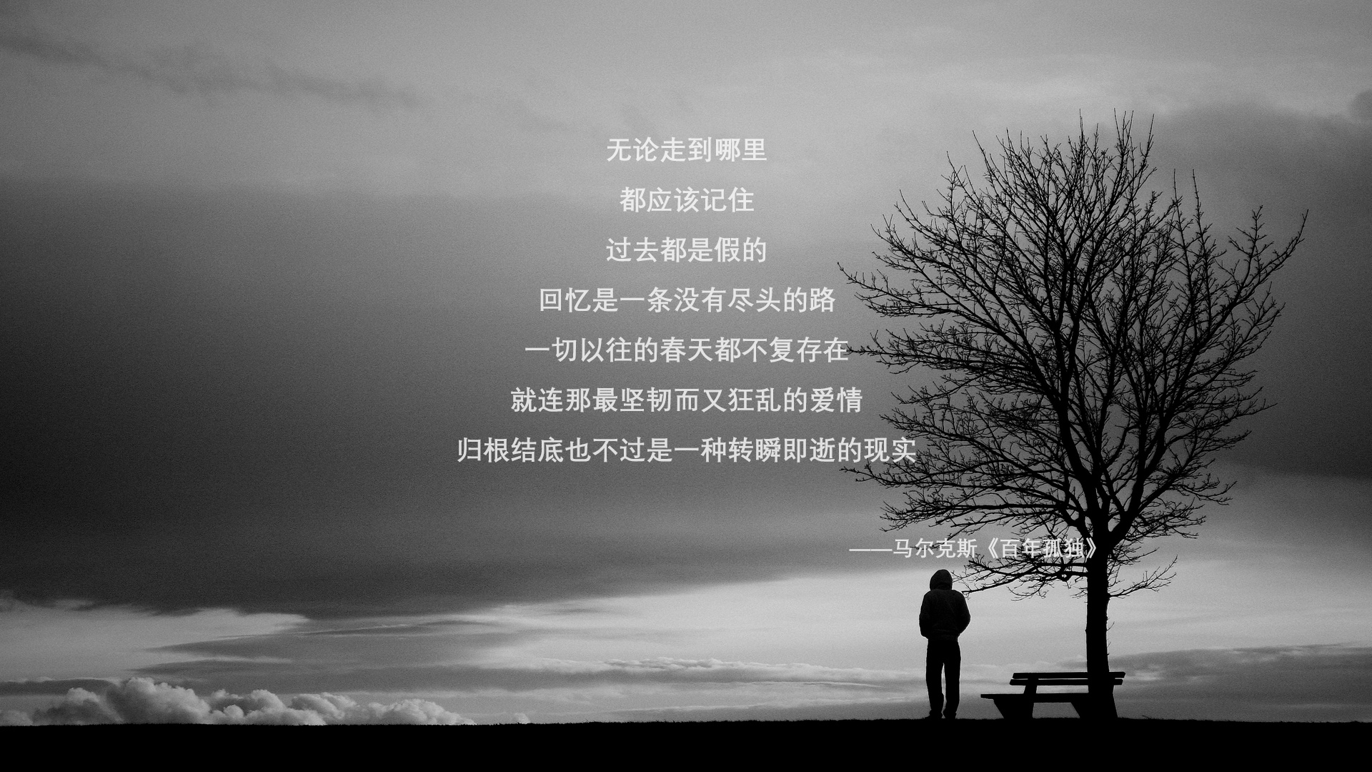 自由泳转身时间排行榜公布，自由泳转身规则 犯规