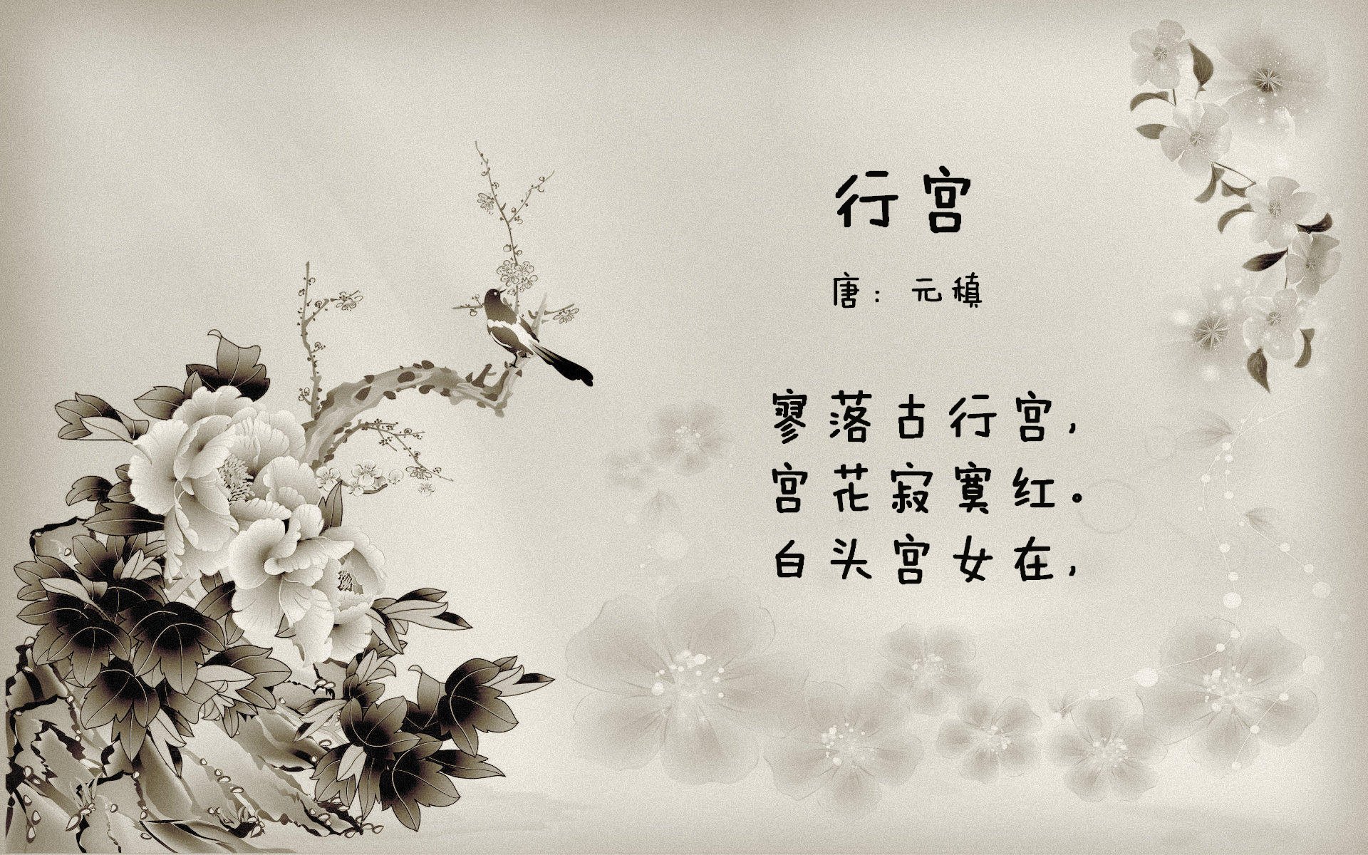 蒙彼利埃中后场联动提升整体强度,蒙彼利埃队