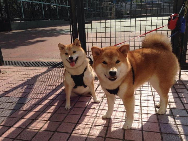 拉文换手上篮出色体现灵活得分手感，拉文打球怎么样