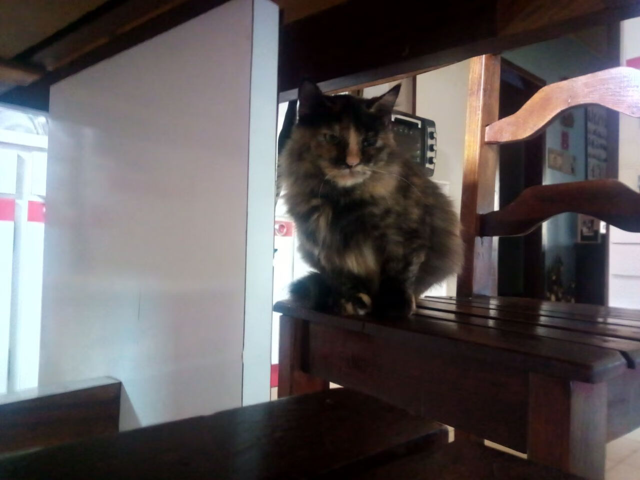 曼联俱乐部庆祝建队百年纪念日,曼联队成立于哪年