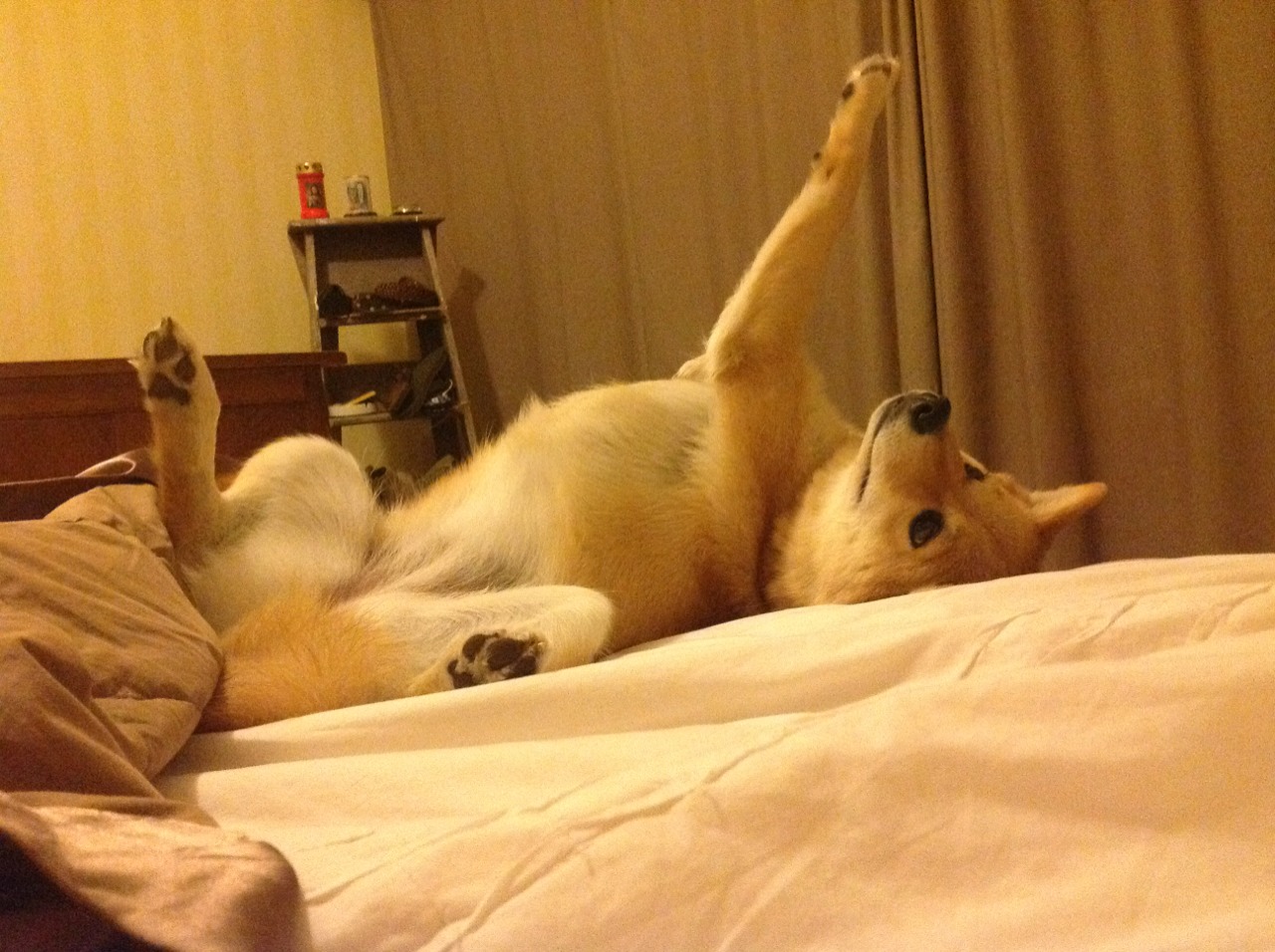 校园篮球特色课程进入高中选修体系强化专业化教学支持,篮球特色学校校本课程