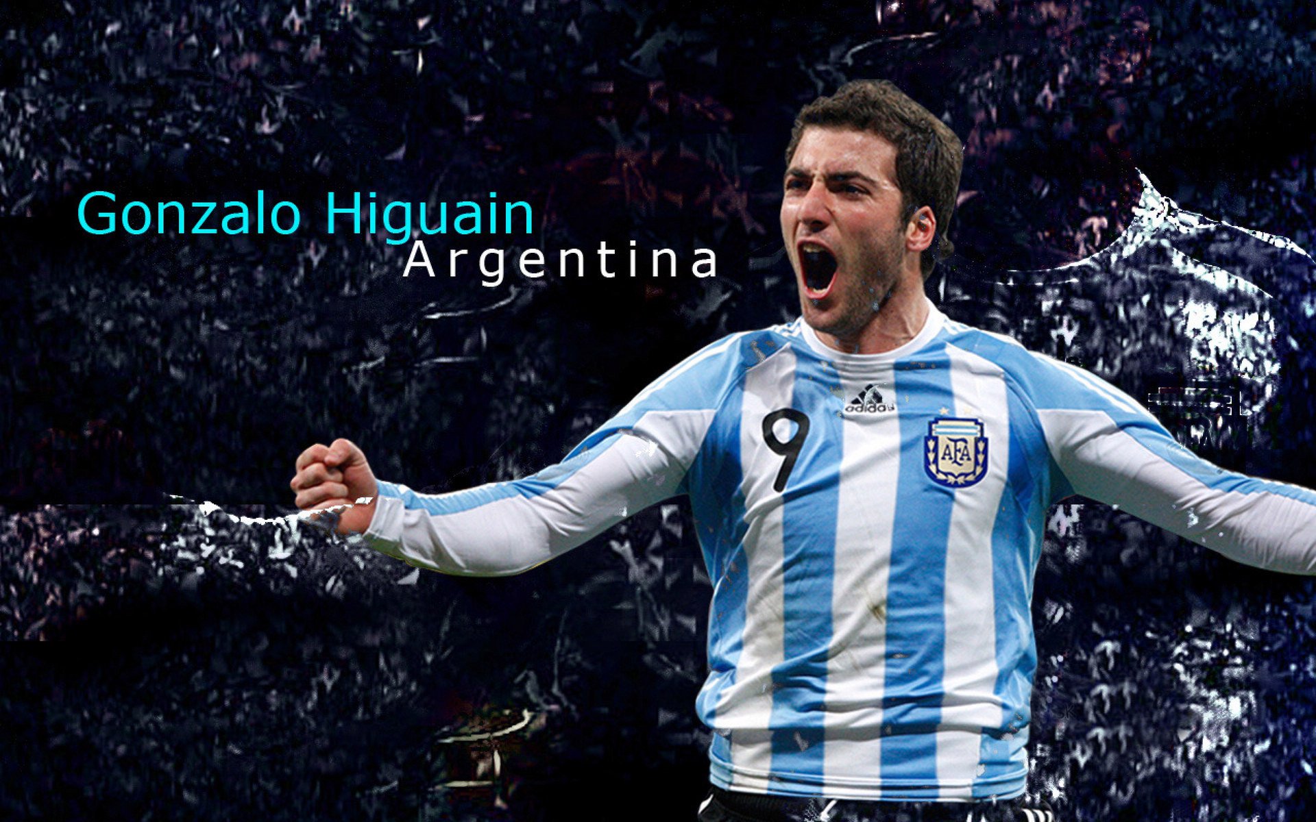 “球迷狂欢:最感人应援场面回顾”,球迷球迷